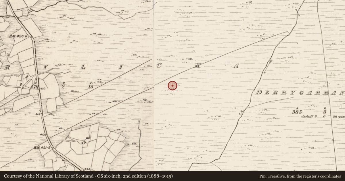 Ordnance Survey six-inch map, 2nd edition (1888–1915) covering the location of Hut site, Derrylicka, County Kerry, with a pin at the register's coordinates