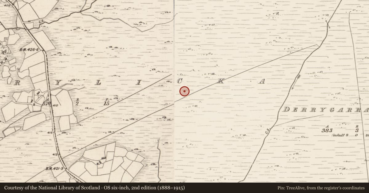 Ordnance Survey six-inch map, 2nd edition (1888–1915) covering the location of Hut site, Derrylicka, County Kerry, with a pin at the register's coordinates