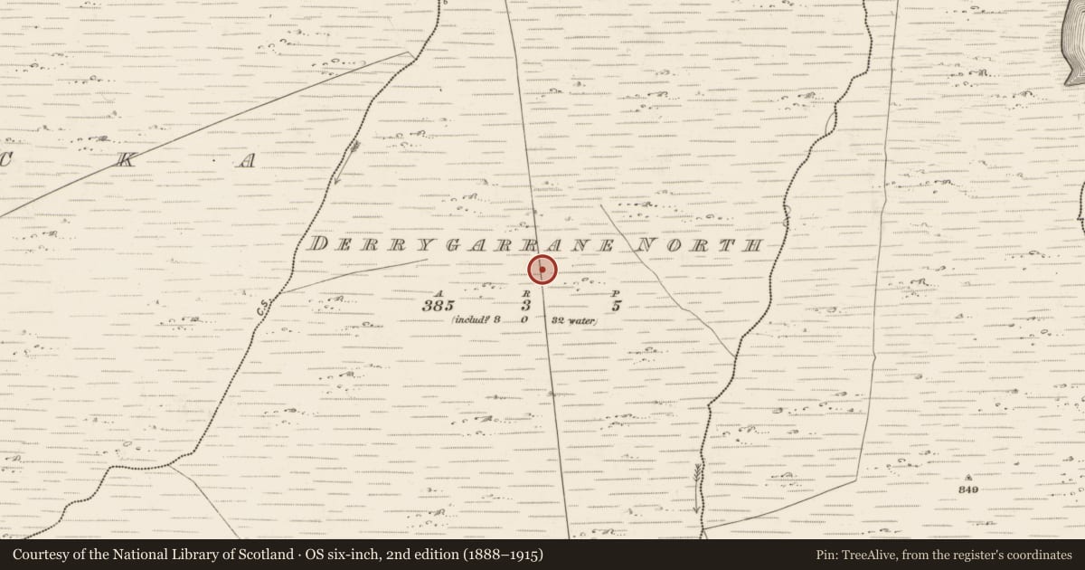 Ordnance Survey six-inch map, 2nd edition (1888–1915) covering the location of Field system, Derrygarrane North, County Kerry, with a pin at the register's coordinates