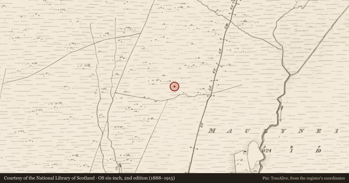 Ordnance Survey six-inch map, 2nd edition (1888–1915) covering the location of Enclosure, Scarteen, County Kerry, with a pin at the register's coordinates