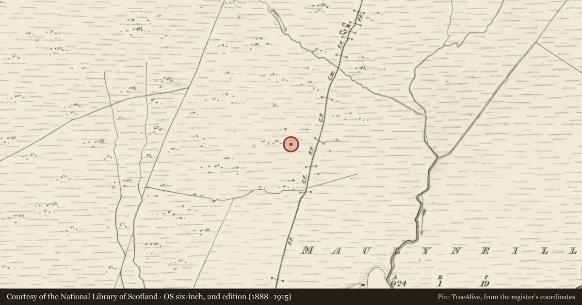 Ordnance Survey six-inch map, 2nd edition (1888–1915) covering the location of Enclosure, Scarteen, County Kerry, with a pin at the register's coordinates