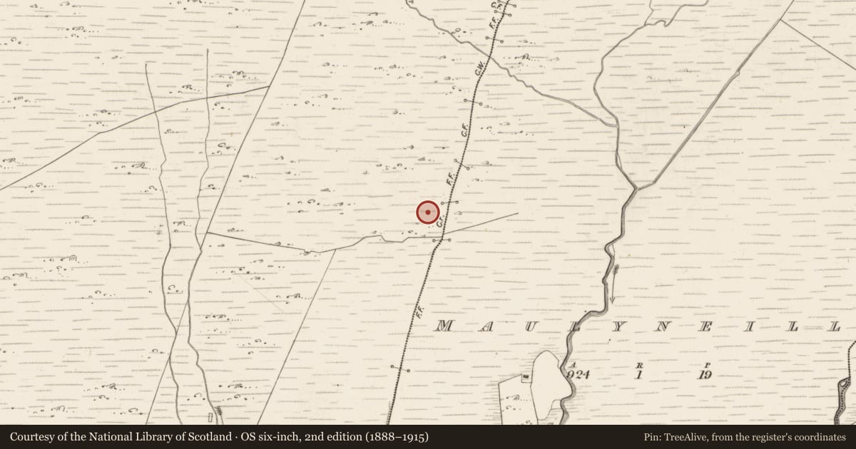 Ordnance Survey six-inch map, 2nd edition (1888–1915) covering the location of Enclosure, Scarteen, County Kerry, with a pin at the register's coordinates