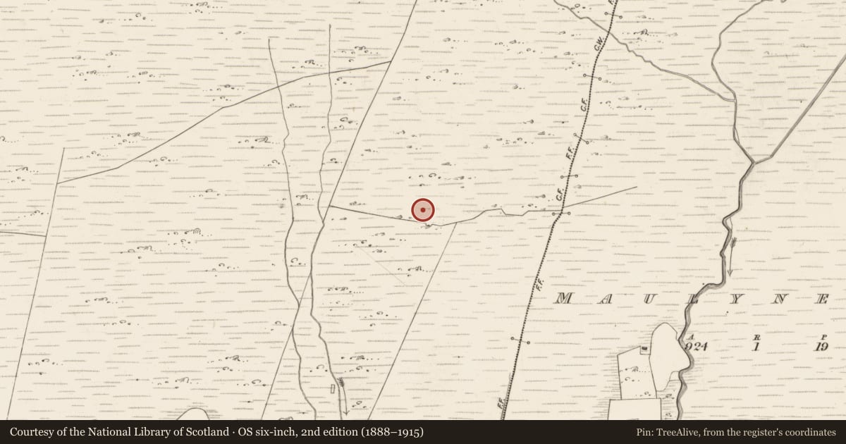 Ordnance Survey six-inch map, 2nd edition (1888–1915) covering the location of Enclosure, Scarteen, County Kerry, with a pin at the register's coordinates