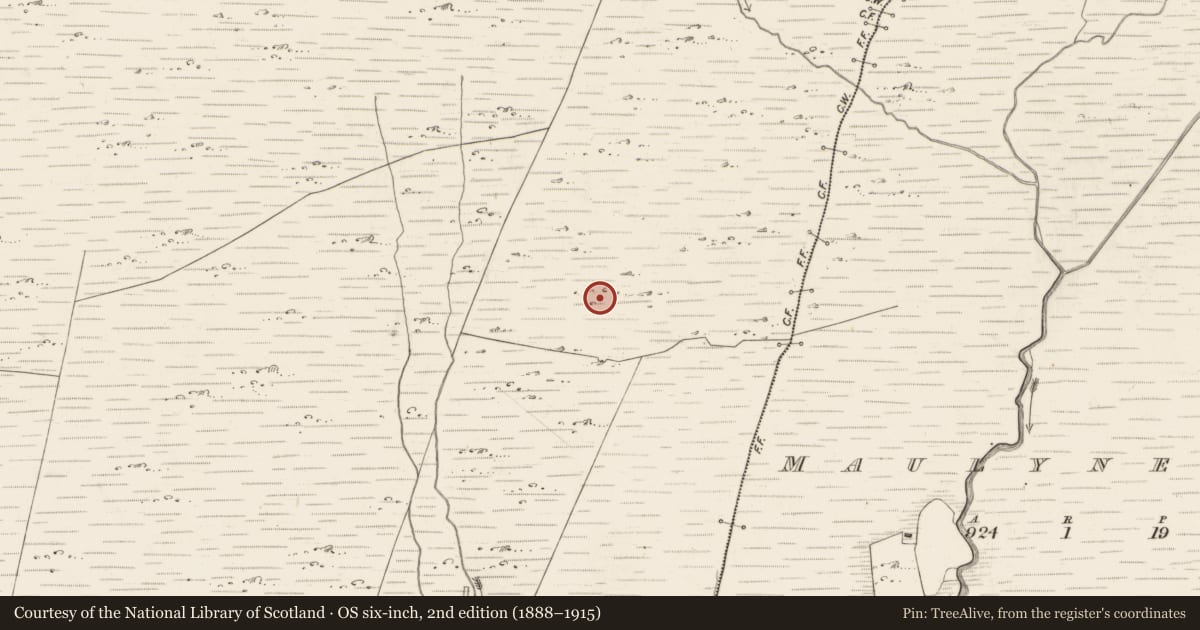 Ordnance Survey six-inch map, 2nd edition (1888–1915) covering the location of Hut site, Scarteen, County Kerry, with a pin at the register's coordinates