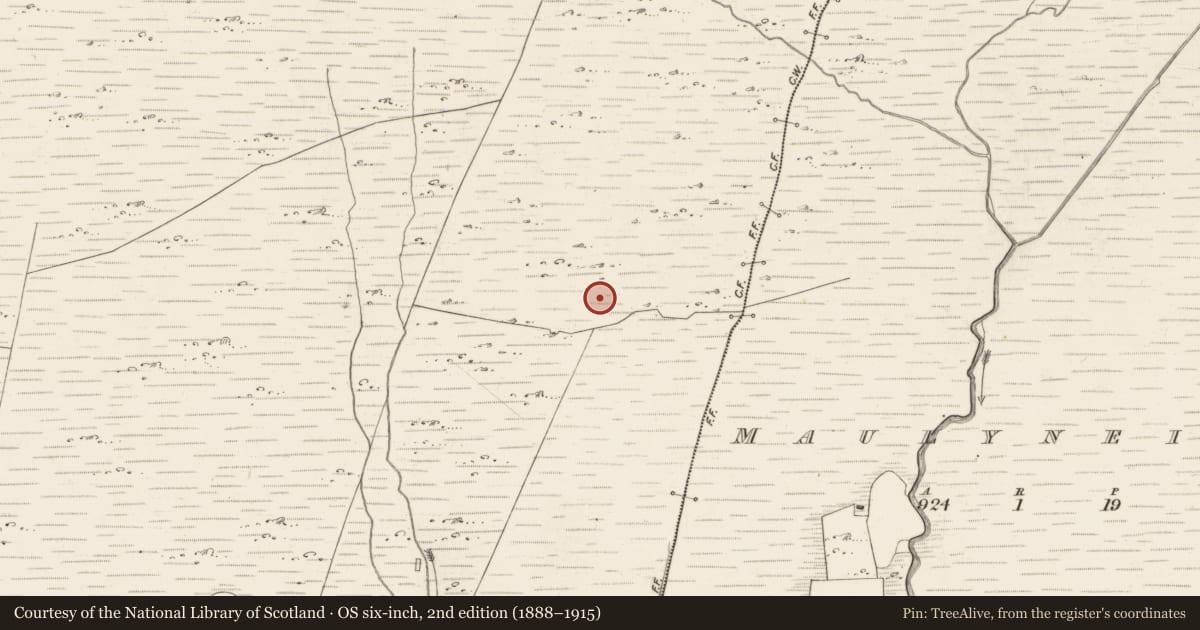 Ordnance Survey six-inch map, 2nd edition (1888–1915) covering the location of Hut site, Scarteen, County Kerry, with a pin at the register's coordinates