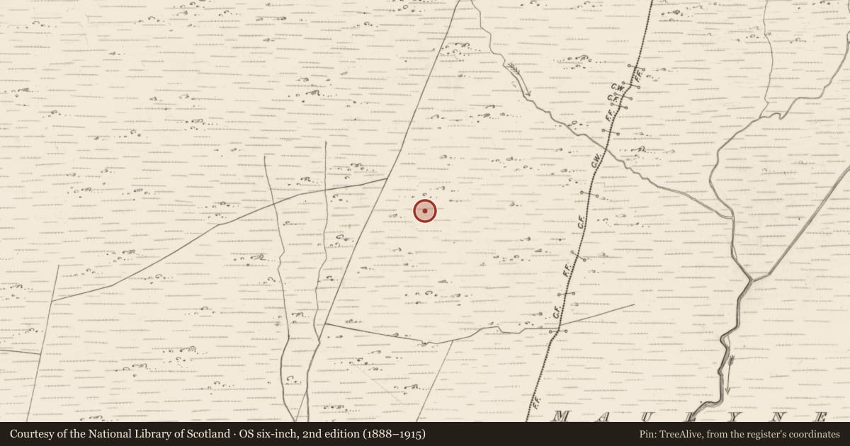 Ordnance Survey six-inch map, 2nd edition (1888–1915) covering the location of Cairn - unclassified, Scarteen, County Kerry, with a pin at the register's coordinates