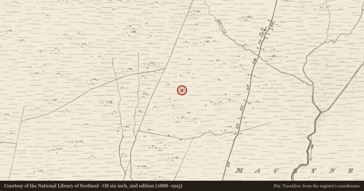 Ordnance Survey six-inch map, 2nd edition (1888–1915) covering the location of Hut site, Scarteen, County Kerry, with a pin at the register's coordinates