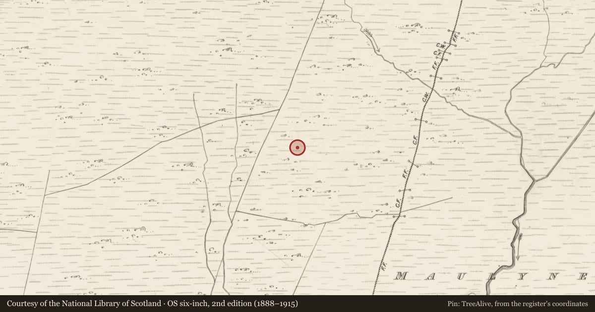Ordnance Survey six-inch map, 2nd edition (1888–1915) covering the location of Hut site, Scarteen, County Kerry, with a pin at the register's coordinates