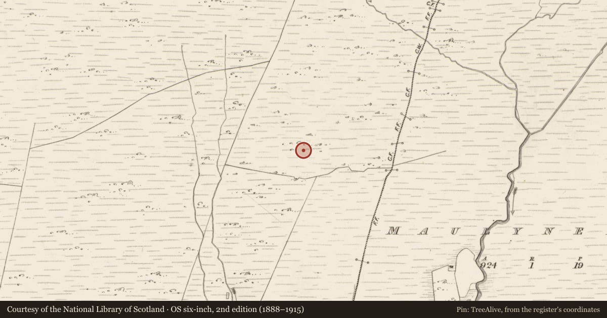 Ordnance Survey six-inch map, 2nd edition (1888–1915) covering the location of Hut site, Scarteen, County Kerry, with a pin at the register's coordinates