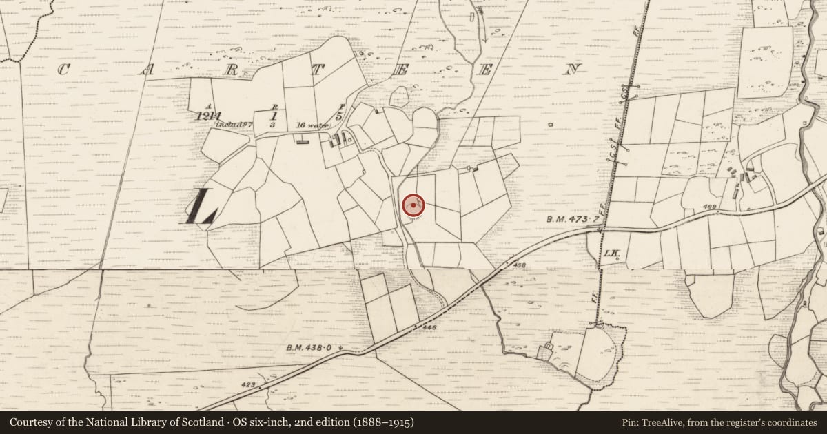 Ordnance Survey six-inch map, 2nd edition (1888–1915) covering the location of Ringfort - rath, Scarteen, County Kerry, with a pin at the register's coordinates