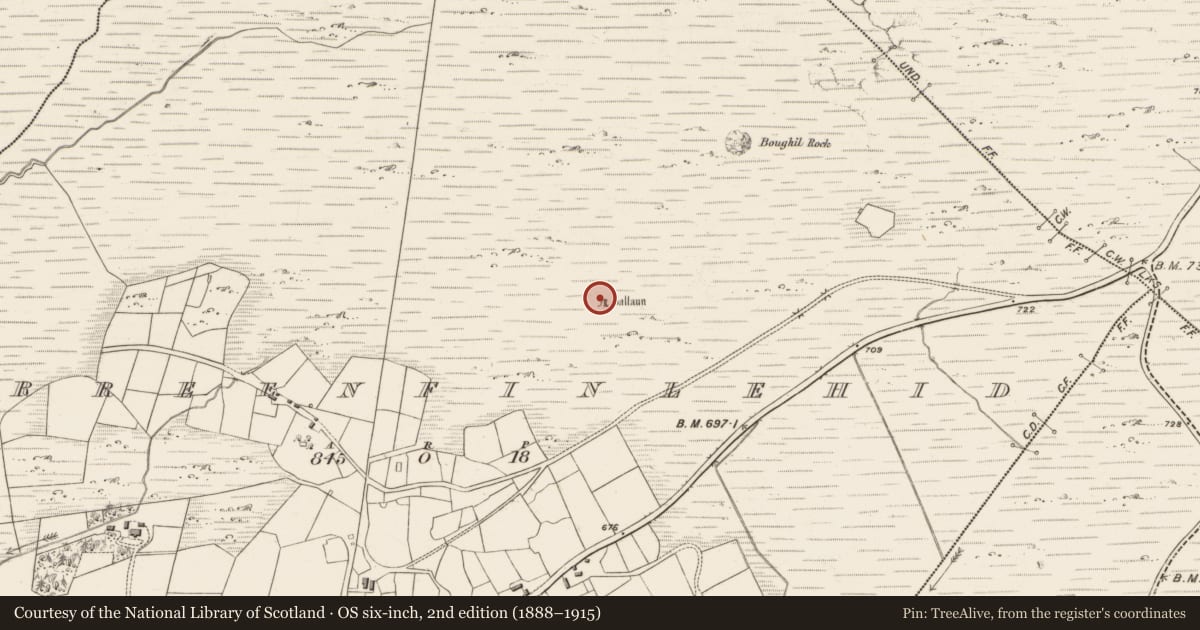 Ordnance Survey six-inch map, 2nd edition (1888–1915) covering the location of Standing stone, Derreenfinlehid, County Kerry, with a pin at the register's coordinates
