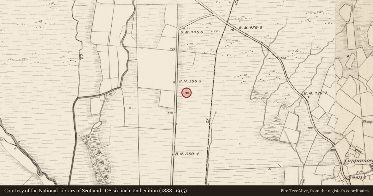 Ordnance Survey six-inch map, 2nd edition (1888–1915) covering the location of Enclosure, Carrig East, County Kerry, with a pin at the register's coordinates
