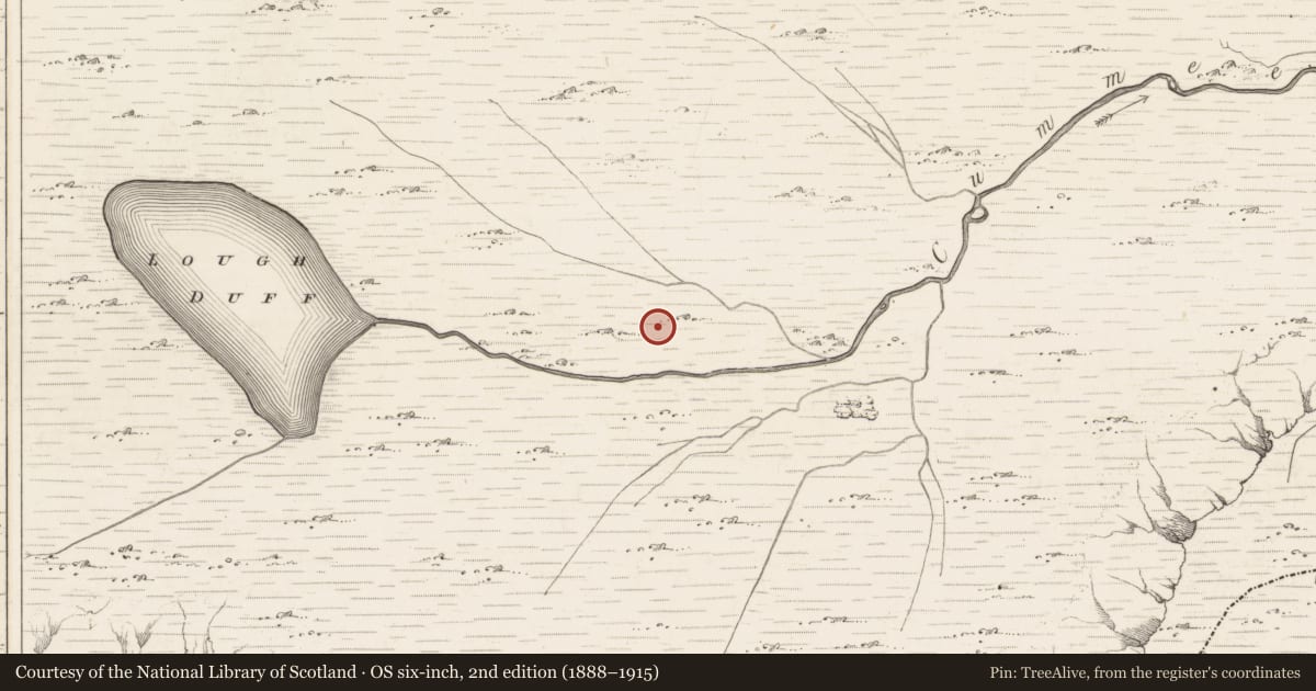 Ordnance Survey six-inch map, 2nd edition (1888–1915) covering the location of Hut site, Bunbinnia, County Kerry, with a pin at the register's coordinates