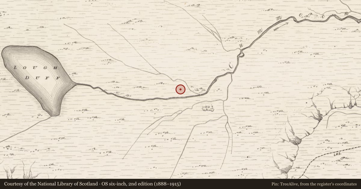 Ordnance Survey six-inch map, 2nd edition (1888–1915) covering the location of Hut site, Bunbinnia, County Kerry, with a pin at the register's coordinates