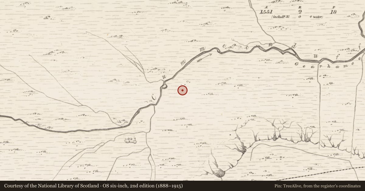 Ordnance Survey six-inch map, 2nd edition (1888–1915) covering the location of Hut site, Bunbinnia, County Kerry, with a pin at the register's coordinates