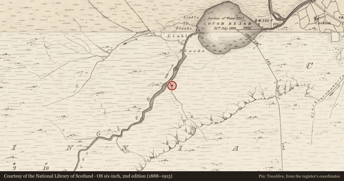 Ordnance Survey six-inch map, 2nd edition (1888–1915) covering the location of Hut site, Bunbinnia, County Kerry, with a pin at the register's coordinates