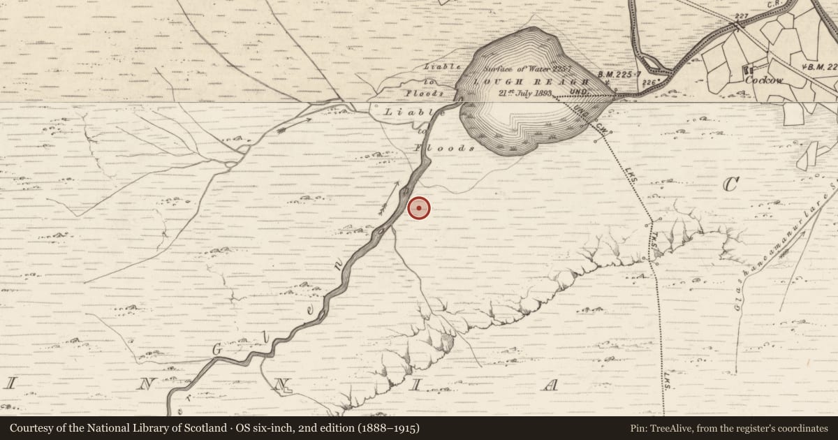 Ordnance Survey six-inch map, 2nd edition (1888–1915) covering the location of Hut site, Bunbinnia, County Kerry, with a pin at the register's coordinates