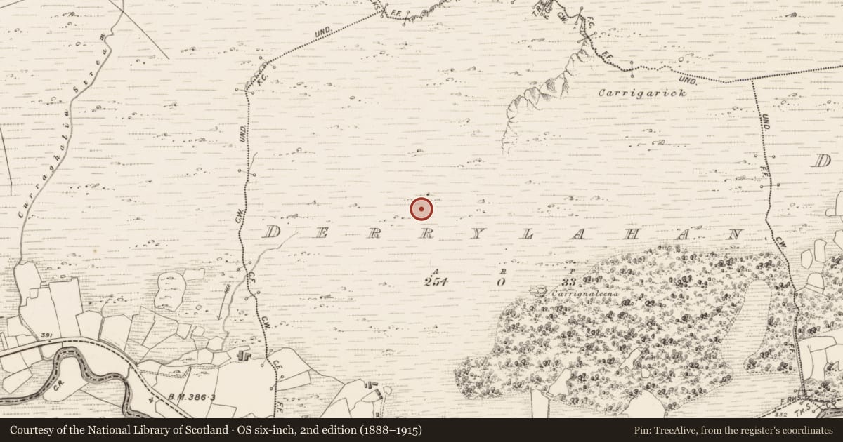 Ordnance Survey six-inch map, 2nd edition (1888–1915) covering the location of Enclosure, Derrylahan, County Kerry, with a pin at the register's coordinates