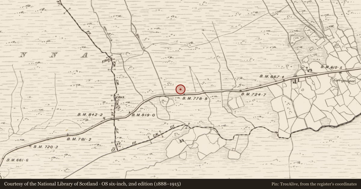 Ordnance Survey six-inch map, 2nd edition (1888–1915) covering the location of Hut site, Bealdarrig, County Kerry, with a pin at the register's coordinates