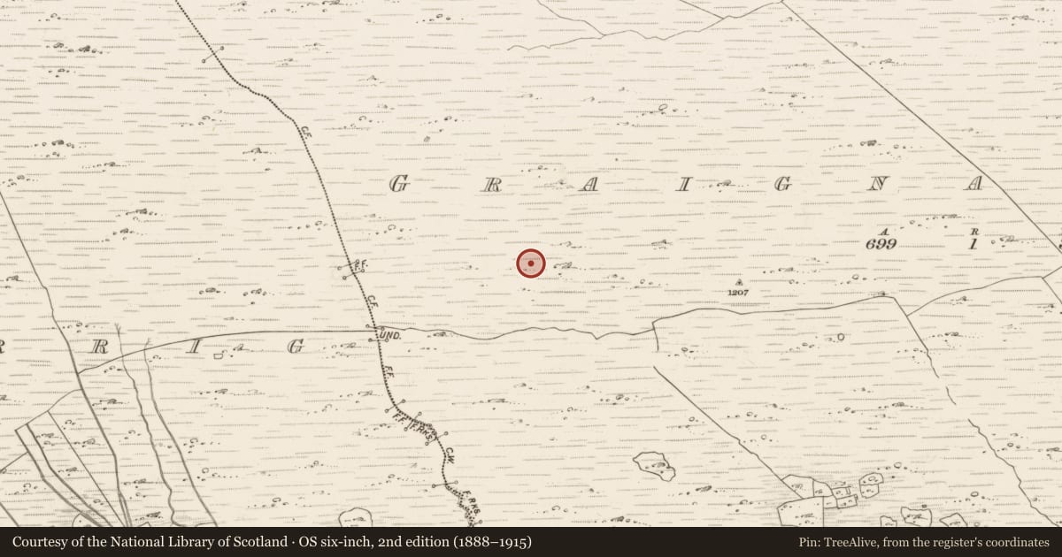 Ordnance Survey six-inch map, 2nd edition (1888–1915) covering the location of Field boundary, Graignagreana, County Kerry, with a pin at the register's coordinates