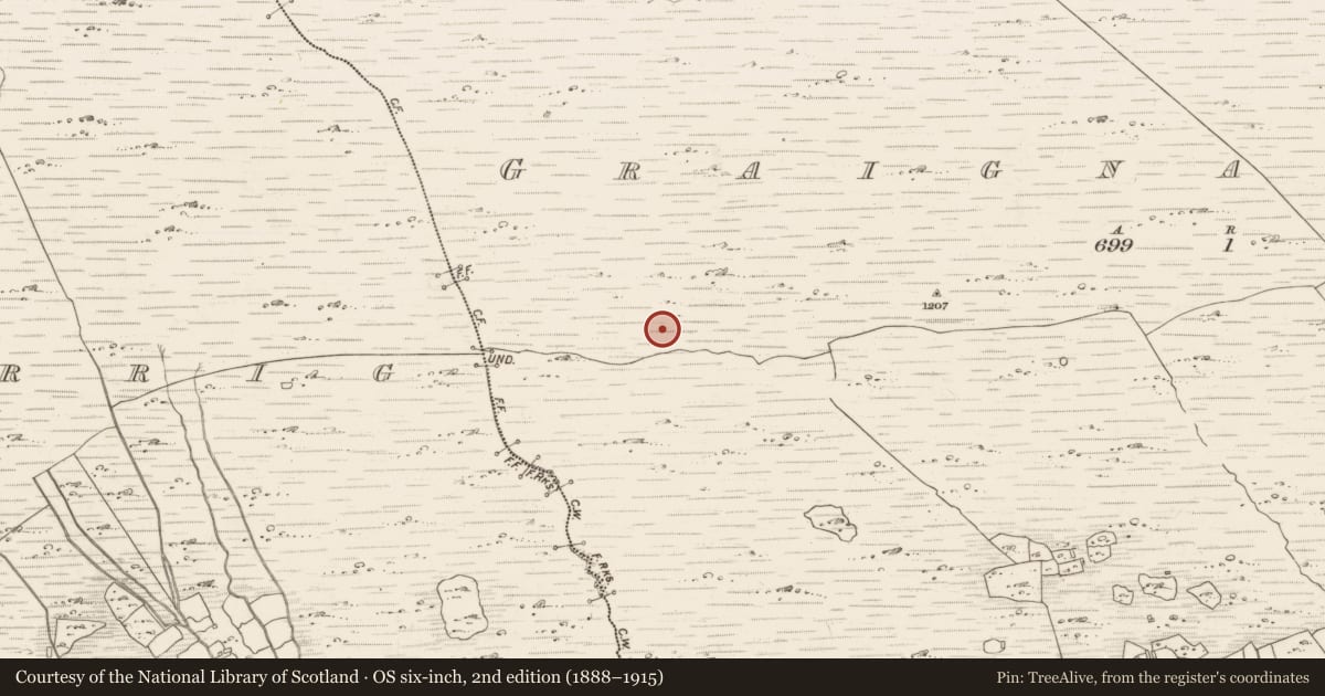 Ordnance Survey six-inch map, 2nd edition (1888–1915) covering the location of Enclosure, Graignagreana, County Kerry, with a pin at the register's coordinates