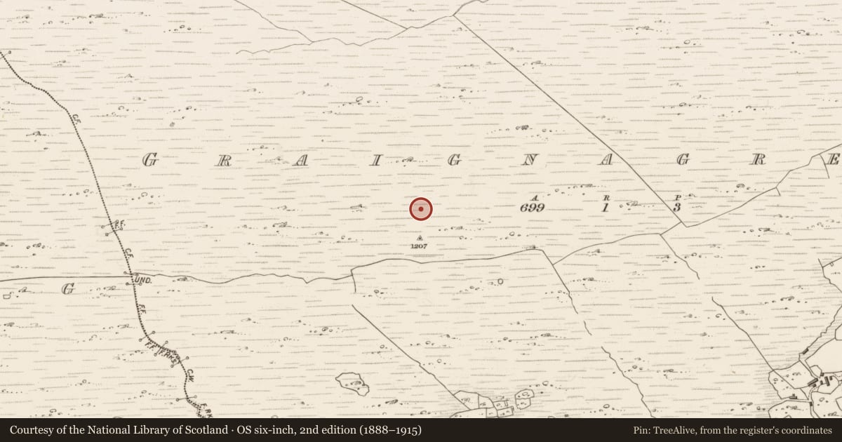 Ordnance Survey six-inch map, 2nd edition (1888–1915) covering the location of Field boundary, Graignagreana, County Kerry, with a pin at the register's coordinates