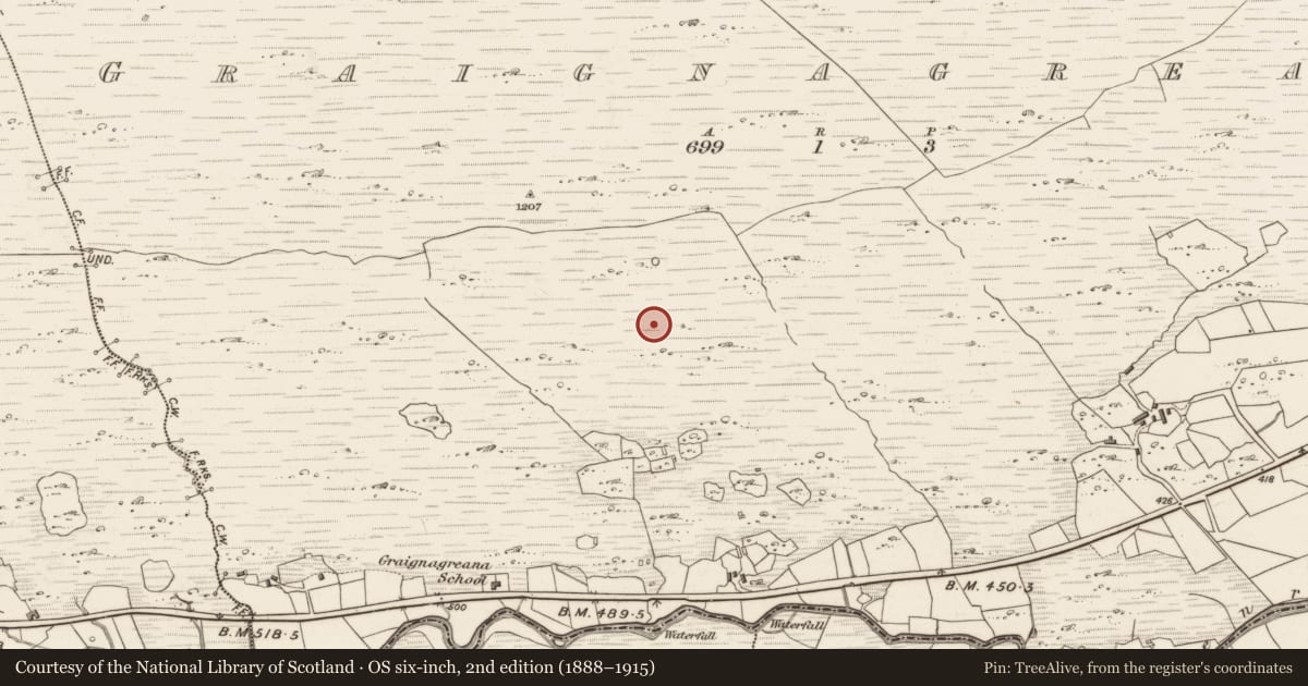 Ordnance Survey six-inch map, 2nd edition (1888–1915) covering the location of Hut site, Graignagreana, County Kerry, with a pin at the register's coordinates
