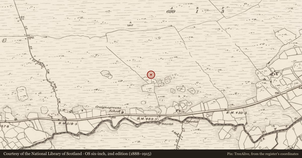 Ordnance Survey six-inch map, 2nd edition (1888–1915) covering the location of Hut site, Graignagreana, County Kerry, with a pin at the register's coordinates