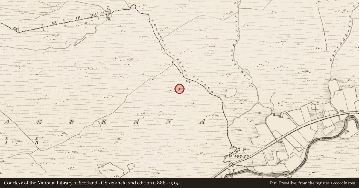 Ordnance Survey six-inch map, 2nd edition (1888–1915) covering the location of Hut site, Graignagreana, County Kerry, with a pin at the register's coordinates