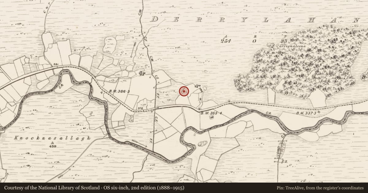 Ordnance Survey six-inch map, 2nd edition (1888–1915) covering the location of Hut site, Derrylahan, County Kerry, with a pin at the register's coordinates