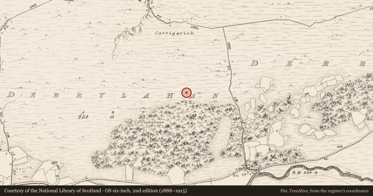Ordnance Survey six-inch map, 2nd edition (1888–1915) covering the location of Hut site, Derrylahan, County Kerry, with a pin at the register's coordinates