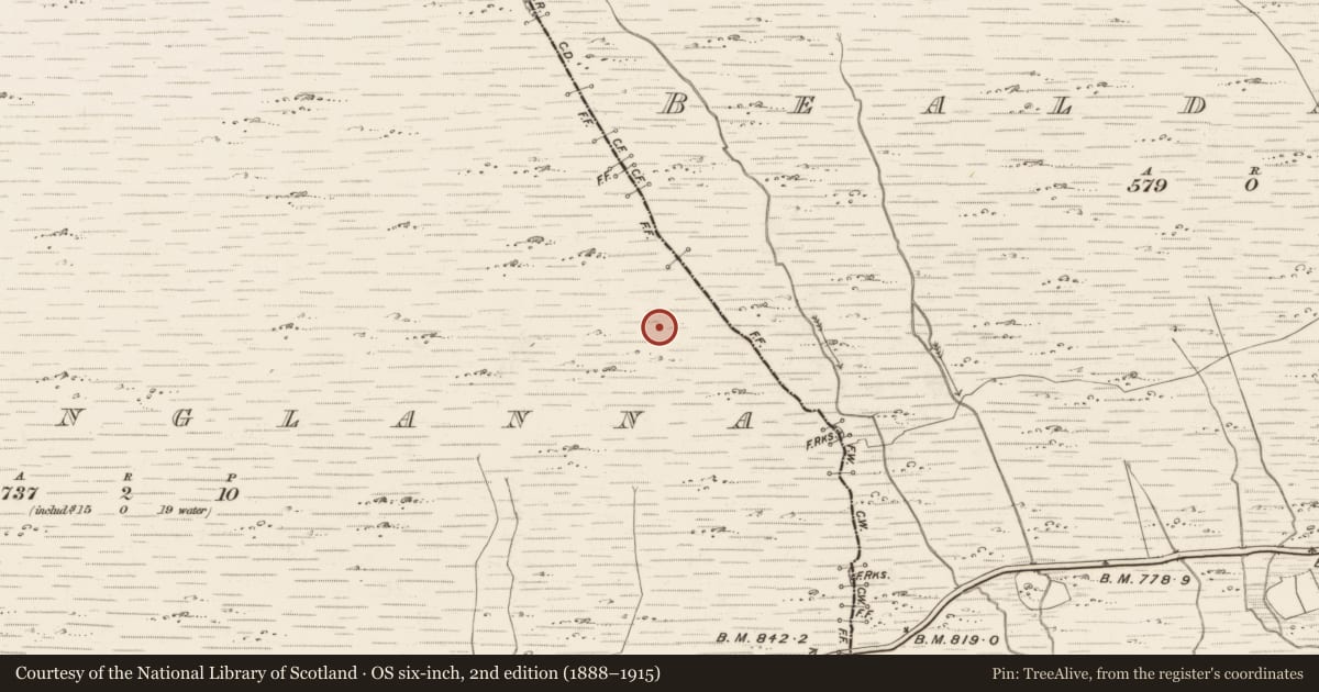 Ordnance Survey six-inch map, 2nd edition (1888–1915) covering the location of Hut site, Inchinglanna, County Kerry, with a pin at the register's coordinates