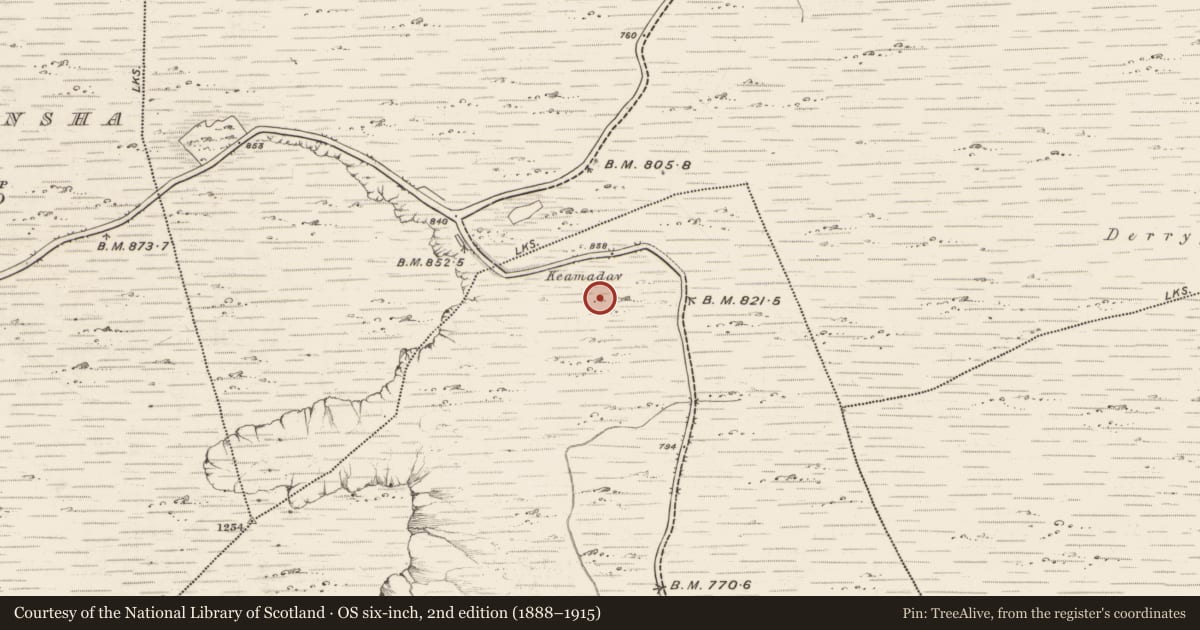 Ordnance Survey six-inch map, 2nd edition (1888–1915) covering the location of Hut site, Carrig West, County Kerry, with a pin at the register's coordinates
