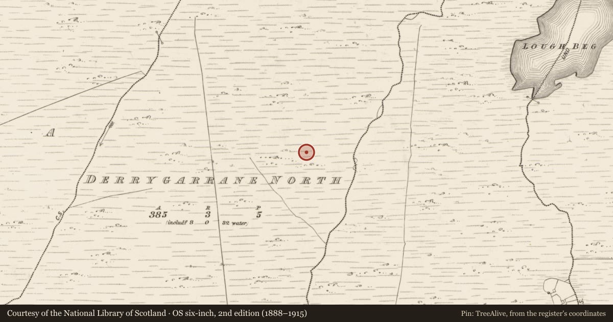 Ordnance Survey six-inch map, 2nd edition (1888–1915) covering the location of Rock art, Derrygarrane North, County Kerry, with a pin at the register's coordinates