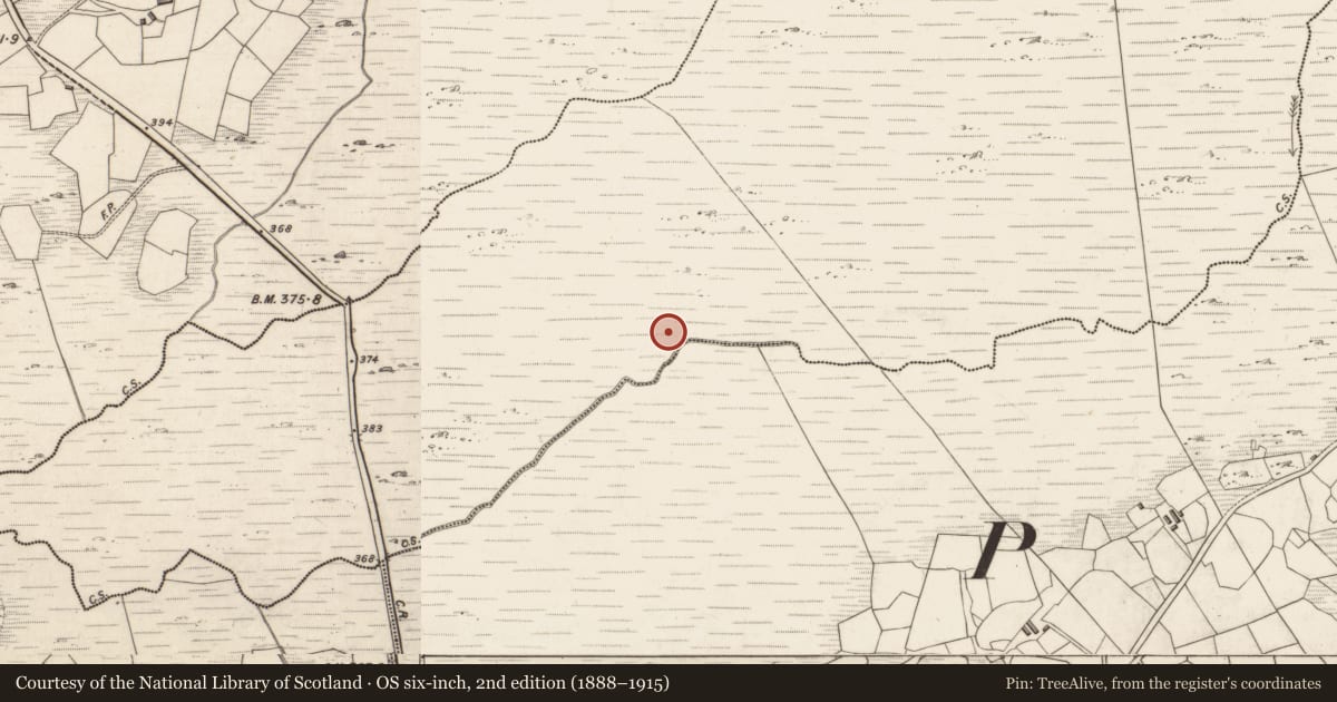Ordnance Survey six-inch map, 2nd edition (1888–1915) covering the location of Hut site, Derrygarrane North, County Kerry, with a pin at the register's coordinates