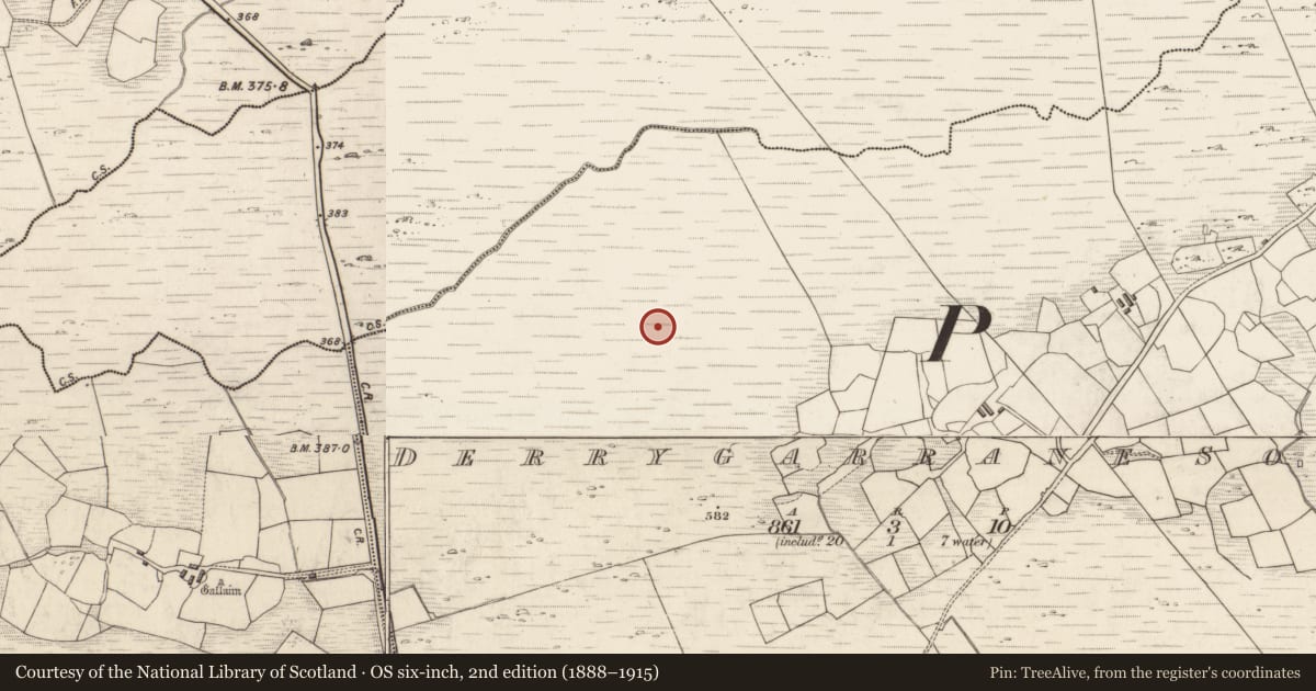Ordnance Survey six-inch map, 2nd edition (1888–1915) covering the location of Standing stone, Derrygarrane South, County Kerry, with a pin at the register's coordinates