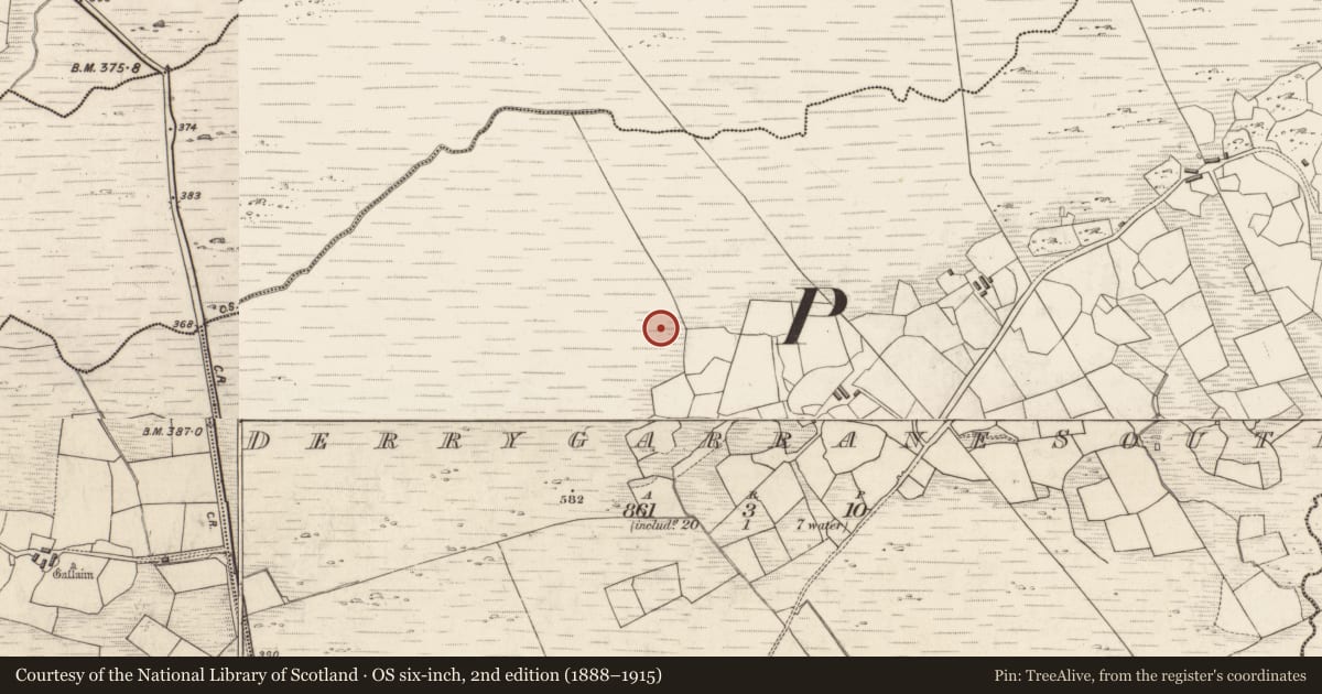 Ordnance Survey six-inch map, 2nd edition (1888–1915) covering the location of Road - gravel/stone trackway - peatland, Derrygarrane South, County Kerry, with a pin at the register's coordinates