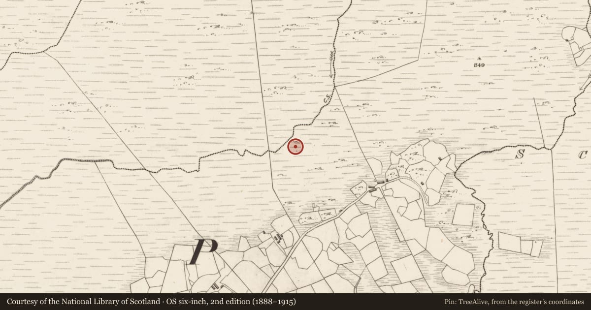 Ordnance Survey six-inch map, 2nd edition (1888–1915) covering the location of Road - gravel/stone trackway - peatland, Derrygarrane South, County Kerry, with a pin at the register's coordinates