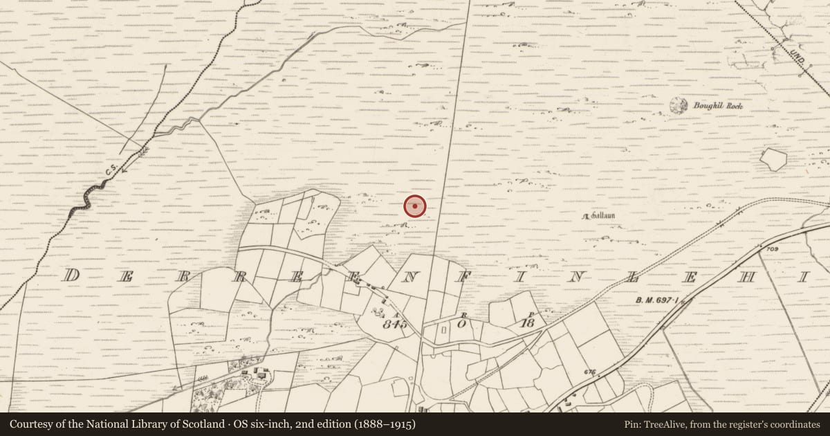 Ordnance Survey six-inch map, 2nd edition (1888–1915) covering the location of Field boundary, Derreenfinlehid, County Kerry, with a pin at the register's coordinates