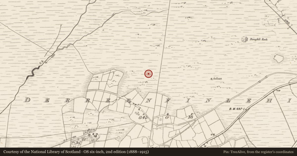 Ordnance Survey six-inch map, 2nd edition (1888–1915) covering the location of Hut site, Derreenfinlehid, County Kerry, with a pin at the register's coordinates
