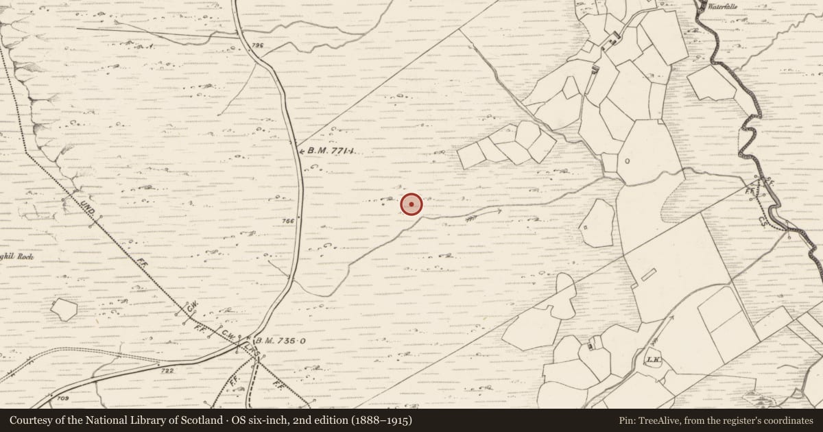 Ordnance Survey six-inch map, 2nd edition (1888–1915) covering the location of Field boundary, Letter, County Kerry, with a pin at the register's coordinates