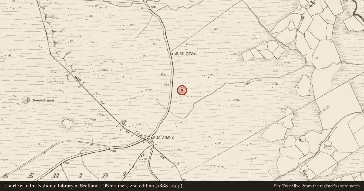 Ordnance Survey six-inch map, 2nd edition (1888–1915) covering the location of Enclosure, Letter, County Kerry, with a pin at the register's coordinates