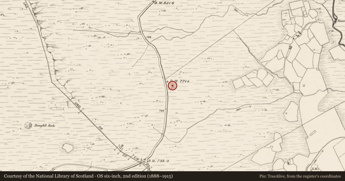 Ordnance Survey six-inch map, 2nd edition (1888–1915) covering the location of Fulacht fia, Letter, County Kerry, with a pin at the register's coordinates