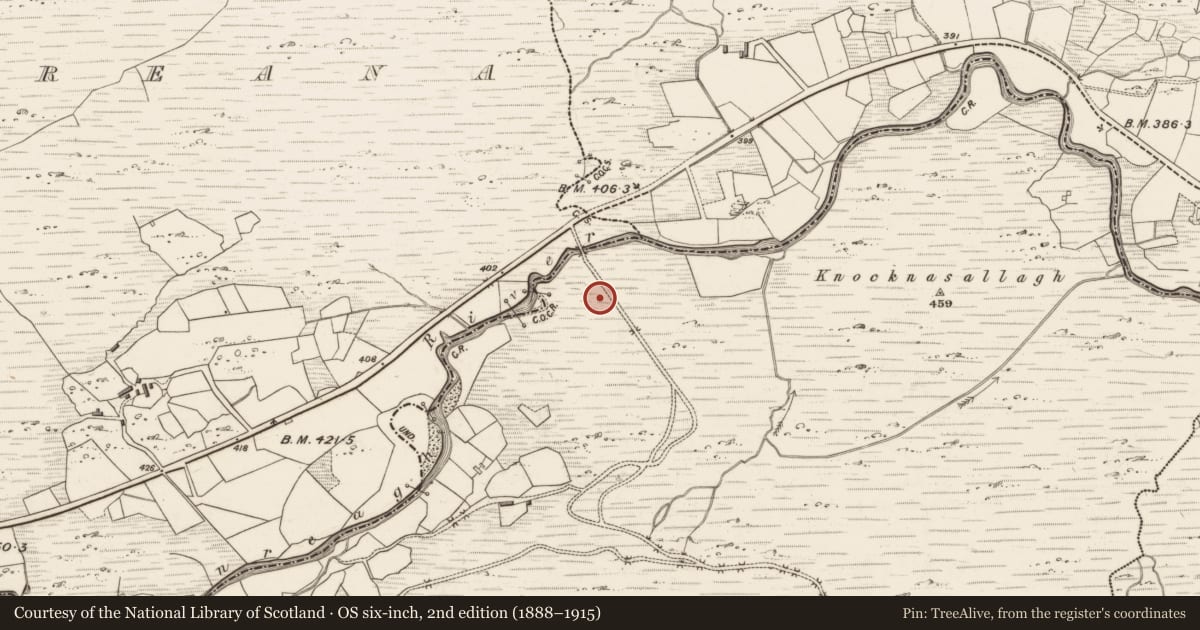 Ordnance Survey six-inch map, 2nd edition (1888–1915) covering the location of Field boundary, Gearhasallagh, County Kerry, with a pin at the register's coordinates