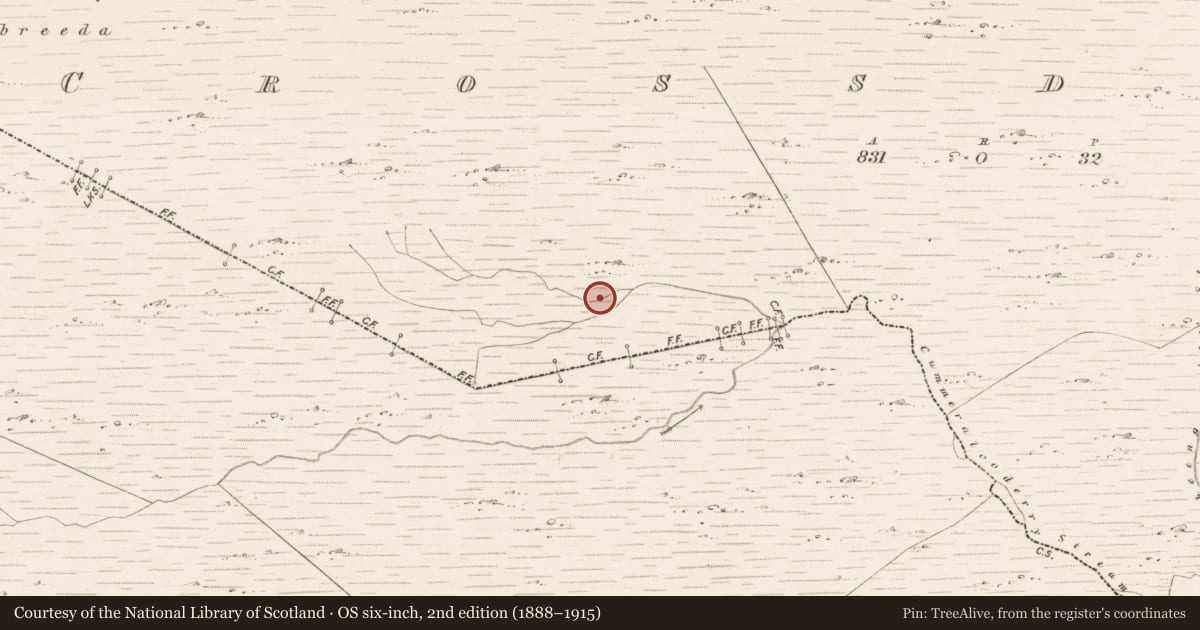 Ordnance Survey six-inch map, 2nd edition (1888–1915) covering the location of Hut site, Crossderry, County Kerry, with a pin at the register's coordinates