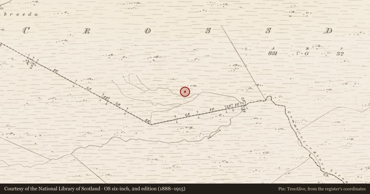 Ordnance Survey six-inch map, 2nd edition (1888–1915) covering the location of Hut site, Crossderry, County Kerry, with a pin at the register's coordinates