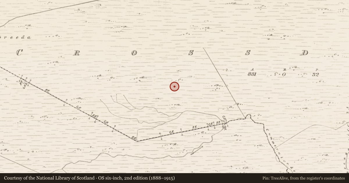 Ordnance Survey six-inch map, 2nd edition (1888–1915) covering the location of Enclosure, Crossderry, County Kerry, with a pin at the register's coordinates