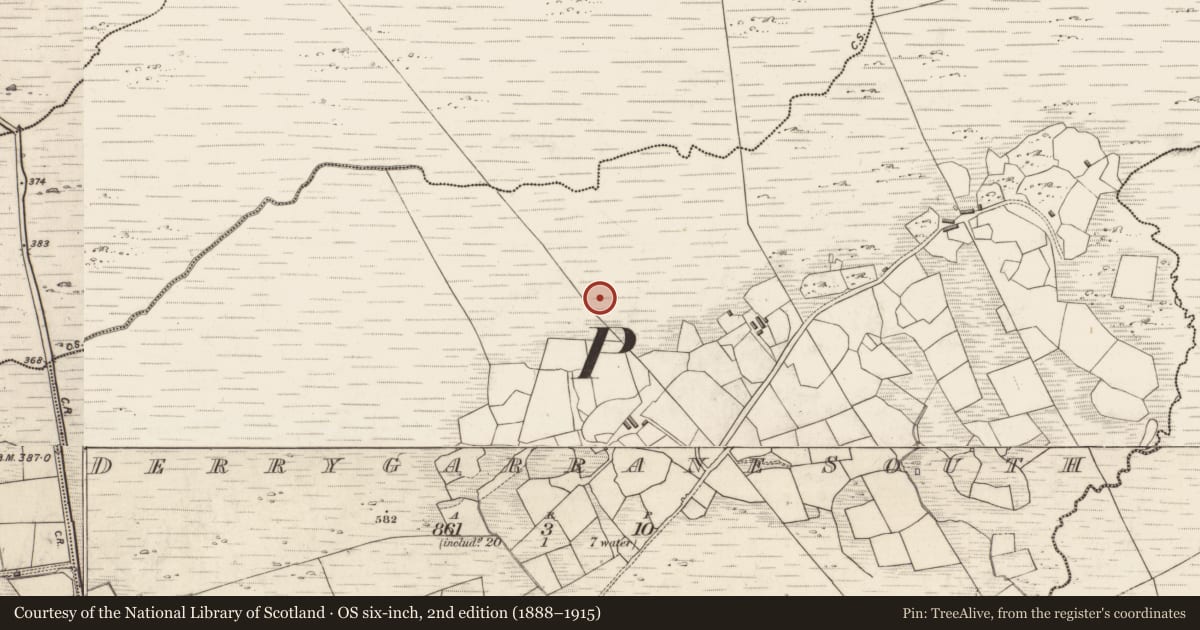 Ordnance Survey six-inch map, 2nd edition (1888–1915) covering the location of Rock art, Derrygarrane South, County Kerry, with a pin at the register's coordinates