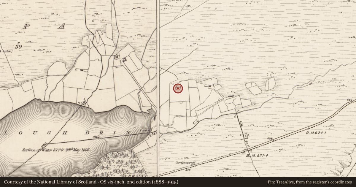 Ordnance Survey six-inch map, 2nd edition (1888–1915) covering the location of Field system, Inchinglanna, County Kerry, with a pin at the register's coordinates