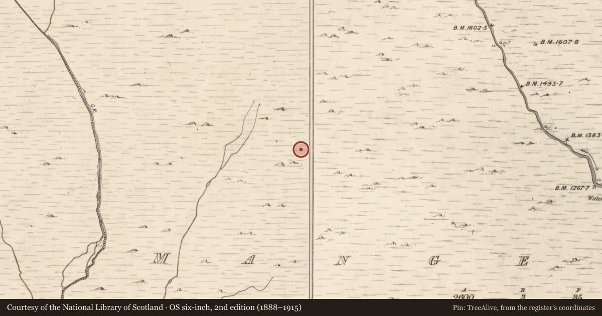 Ordnance Survey six-inch map, 2nd edition (1888–1915) covering the location of Hut site, Mangerton, County Kerry, with a pin at the register's coordinates